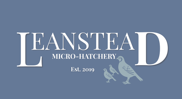 Leanstead