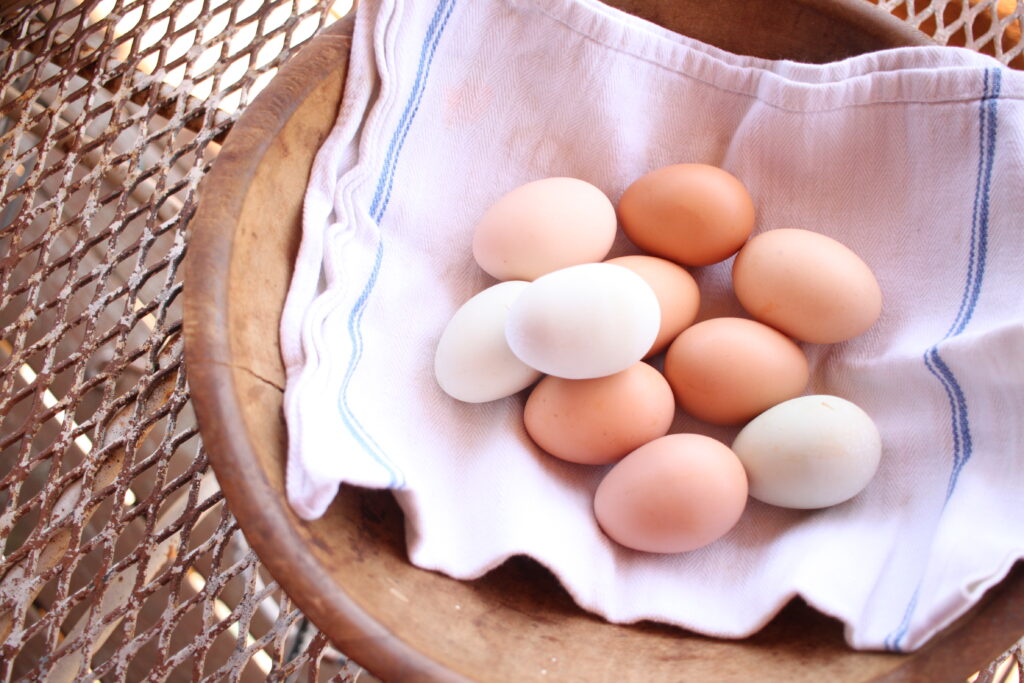 eggs in a wooden bowl. Raising your own meat. 